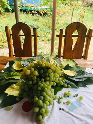 حديقة, Тереза кемпинг in Haghpat