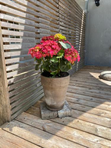 Apt17 - Quiet Countryside Apartement - only minutes from Billund 5