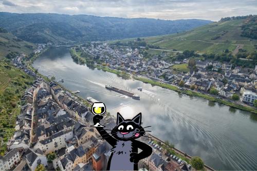 Feriendomizil am Moselufer in Zell Mosel, Deutschland