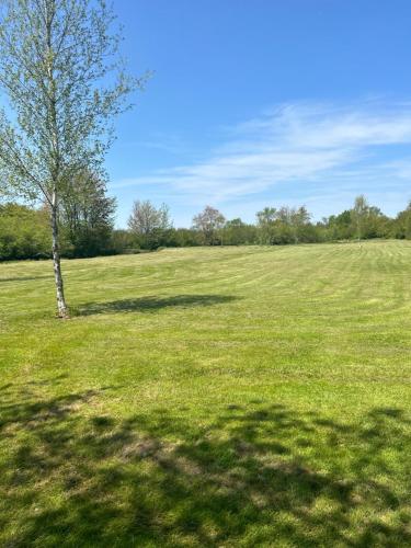 A környék, South Haven in Western Shore (Új-Skócia)