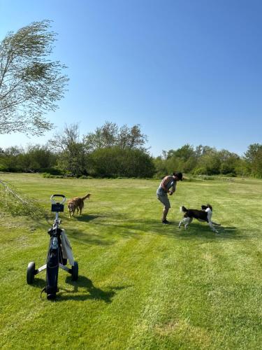 Golfpálya [saját], South Haven in Western Shore