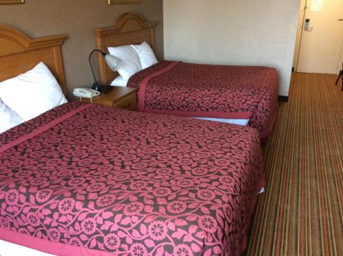 Days Inn by Wyndham Albion - image 8
