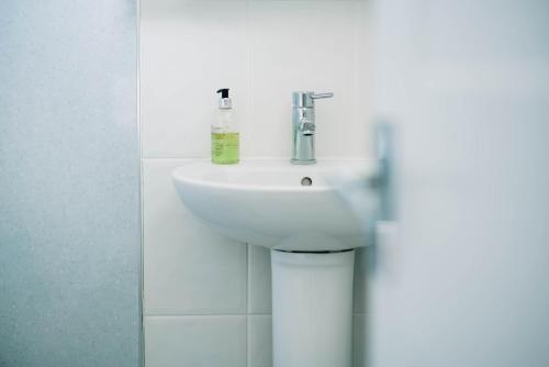 Bryn Berwyn Country House - image 12