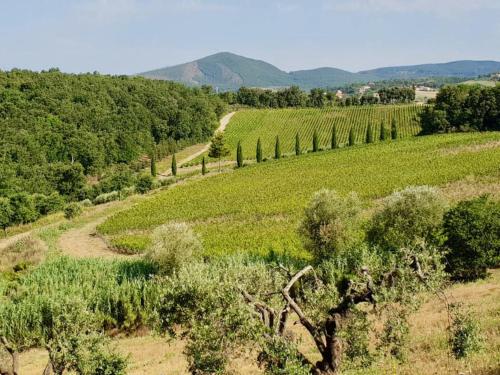  Podere Terraviva in Riparbella