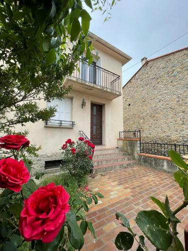 LG RITE Appartement avec jardin - Apartment - Prades