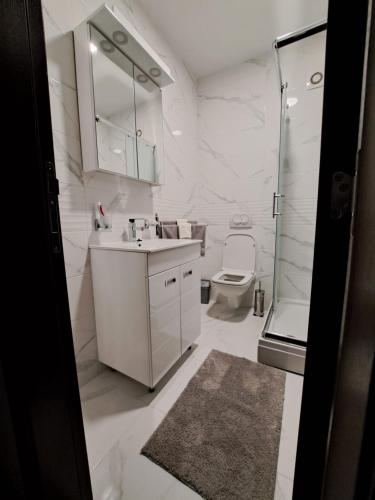 Zuhanyzó, Apartman Imperator Vrnjačka Banja (Apartman Imperator Vrnjacka Banja) in Vrnjacka Banja