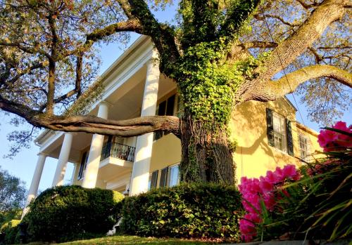 . Anchuca Historic Mansion & Inn
