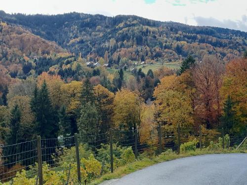 Изглед, Ferienhaus Wuttijockl in Großradl