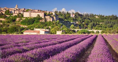 Entre Vignes et Collines