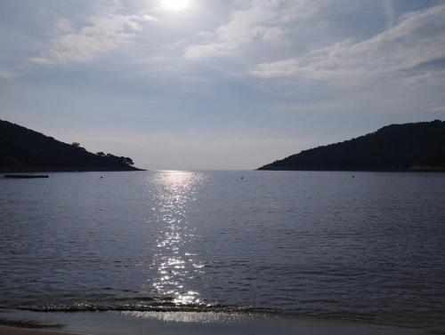  Apartments Feral in Saplunara