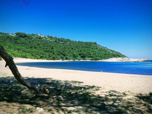  Apartments Feral in Saplunara