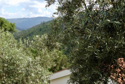 Mountain View gîte à louer Torrozelas