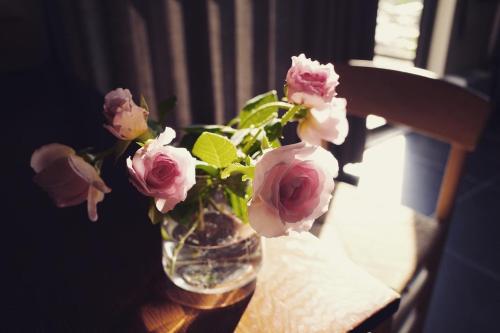 香蕉與黑膠 Yellow And Black Guest House 香蕉與黑膠 Yellow And Black Guest House