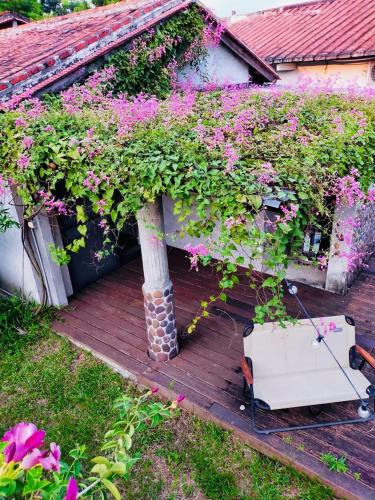 香蕉與黑膠 Yellow And Black Guest House - image 4