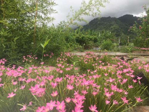 香蕉與黑膠 Yellow And Black Guest House 香蕉與黑膠 Yellow And Black Guest House