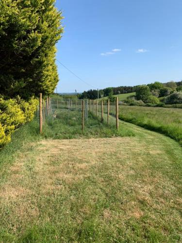 Top Pen Y Parc Farm Glamping