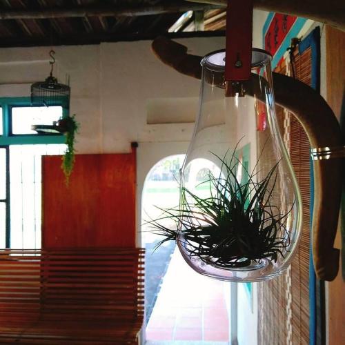 香蕉與黑膠 Yellow And Black Guest House 香蕉與黑膠 Yellow And Black Guest House