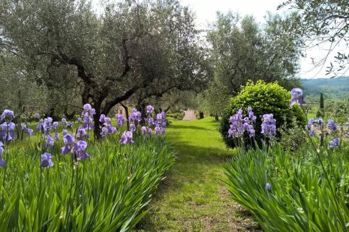 Il tuo angolo di tranquillità in Toscana