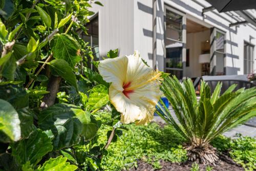 Modern Architectural Oasis in Menlo Park Modern Architectural Oasis in Menlo Park