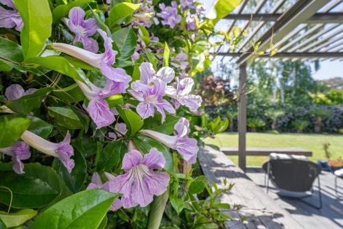 Modern Architectural Oasis in Menlo Park Modern Architectural Oasis in Menlo Park