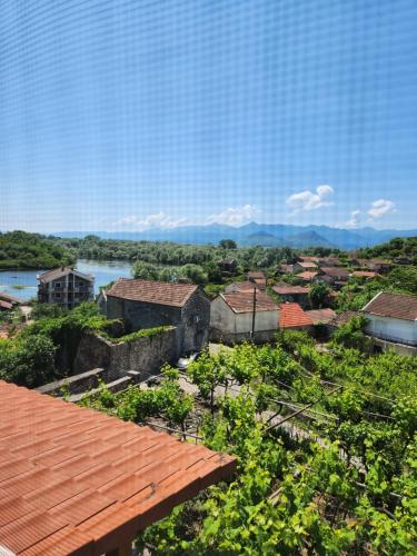 Dodoši Ksenija (Dodosi Ksenija) in Dodoši