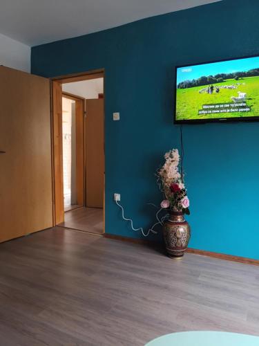Apartman SRCE STAROG GRADA besplatan parking - image 4