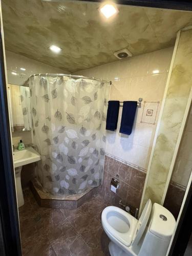 Apartment in Yerevan on Abovyan Street,CENTRE, Erevan (foto 6)
