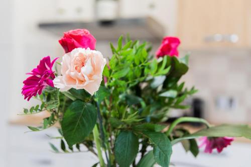 Appartamento Torregalli, confortevole e moderno