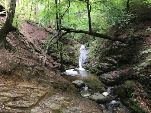 Little Roua Ardenne Cottage 4 pers