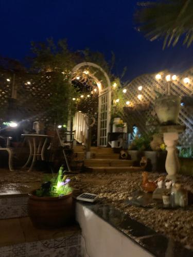 Stargazy Garden