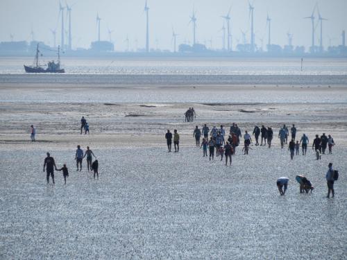 Hus op de Wurth Nr 17