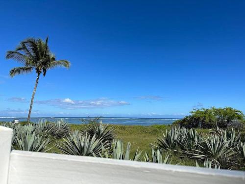 Appartement Margouillat sur la plage et lagon de La Saline 5