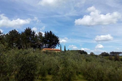 Casa Belvedere -tranquillità tra bosco e ulivi- - Tap to explore photos
