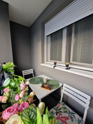 Erkély/terasz, Apartman Astra in Matije Huđi