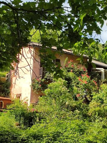 Moulin vieux in Lantosque