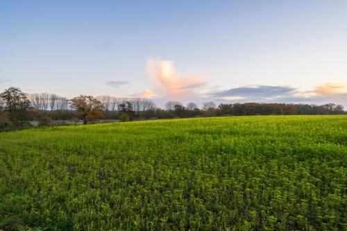 Hailes - a newly converted barn on our farm between Stratford upon Avon and the Cotswolds