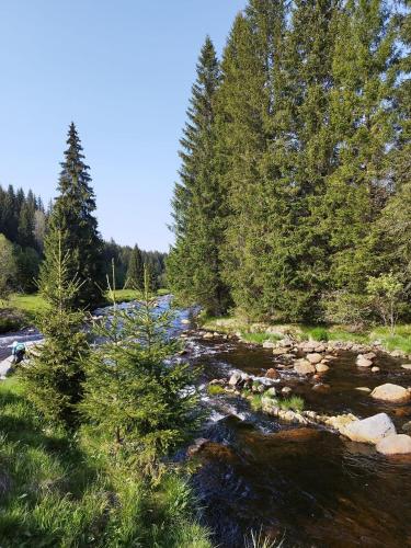 Hillside Strašín Šumava (Hillside Strasin Sumava) in Strašín
