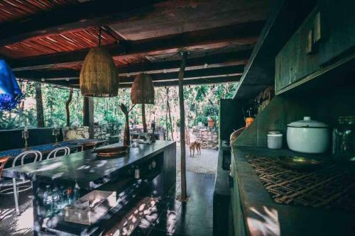 Cheerful cabin with pool surrounded by nature