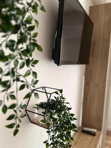  Apartment Bagaric in Stari Grad