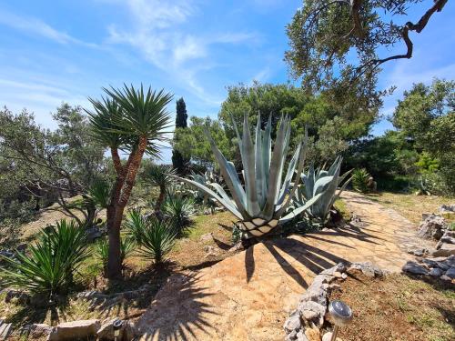 Orkula Hidden Paradise- Robinson Holiday House