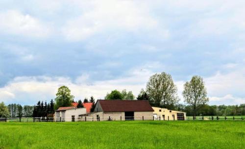 Stajnia Tarnowo Pałuckie (Stajnia Tarnowo Paluckie) in Kobylec