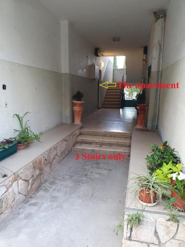 3 Stairs Only to Cozy Flat on Hillel st in Hadar Hakarmel