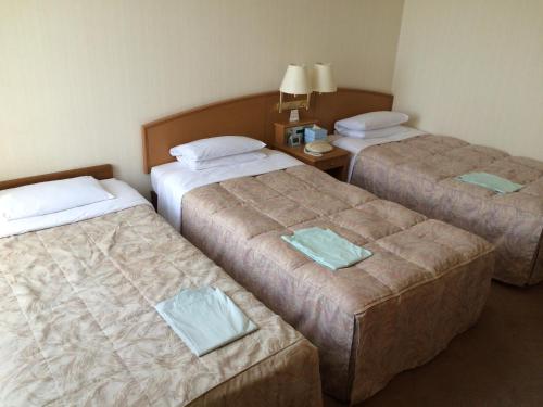 2 twin beds, 1 sofa bed