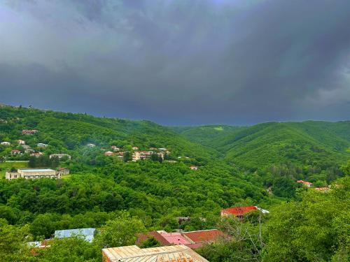 Hotel VIM in Sighnaghi, Sighnaghi (zdjęcie 9)