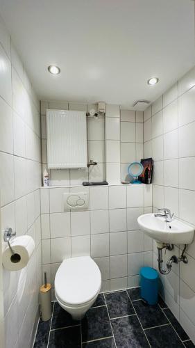 Großes und helles Innenstadt Apartment - Ferienwohnung