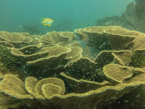 自行车之旅住宿加早餐旅馆 自行车之旅住宿加早餐旅馆