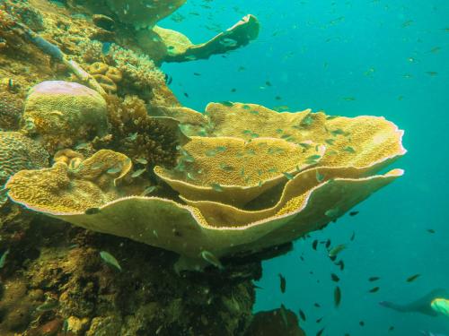 自行车之旅住宿加早餐旅馆 自行车之旅住宿加早餐旅馆