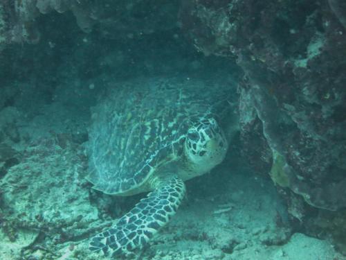 自行车之旅住宿加早餐旅馆 自行车之旅住宿加早餐旅馆