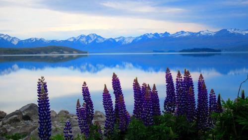Okružje, Tailor Made Tekapo Accommodation - Hostel in Lake Tekapo