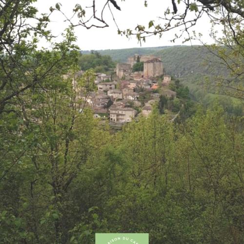 Maison au bord de la rivière Aveyron - Bruniquel